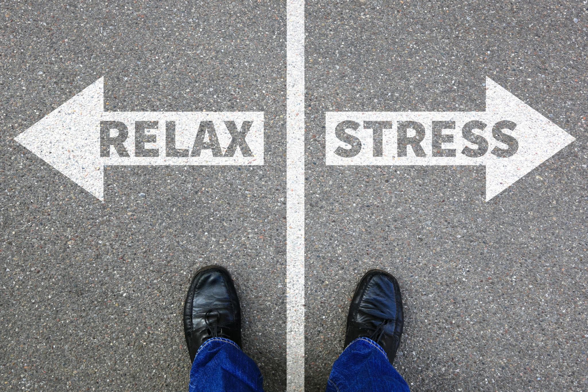 Cortisol vs. Testosterone: Understanding the Stress-Hormone Tradeoff