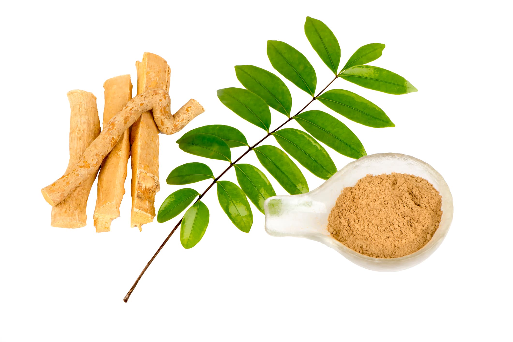 Tongkat Ali: What the Research Says About Dosing and Efficacy